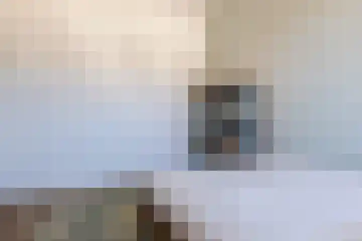 Piketberg 4 Tilburg thumbnail 13