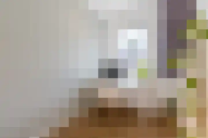 Piketberg 4 Tilburg thumbnail 14