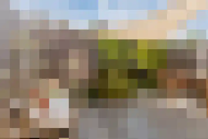 Piketberg 4 Tilburg thumbnail 26