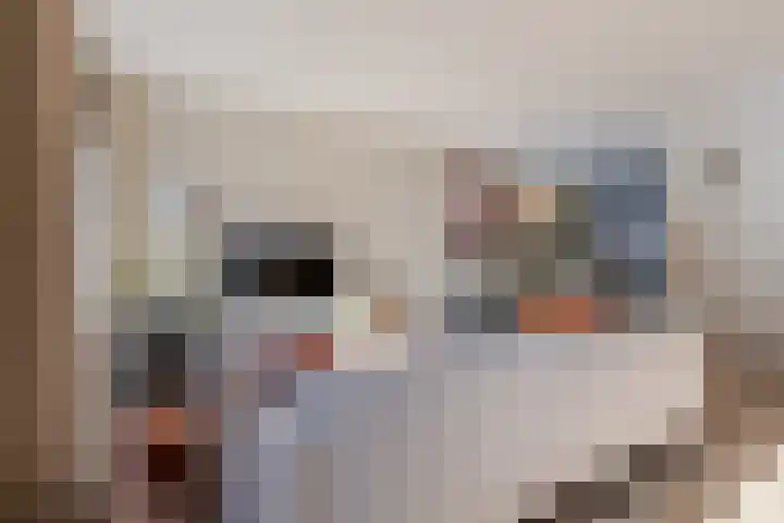 Piketberg 4 Tilburg thumbnail 5