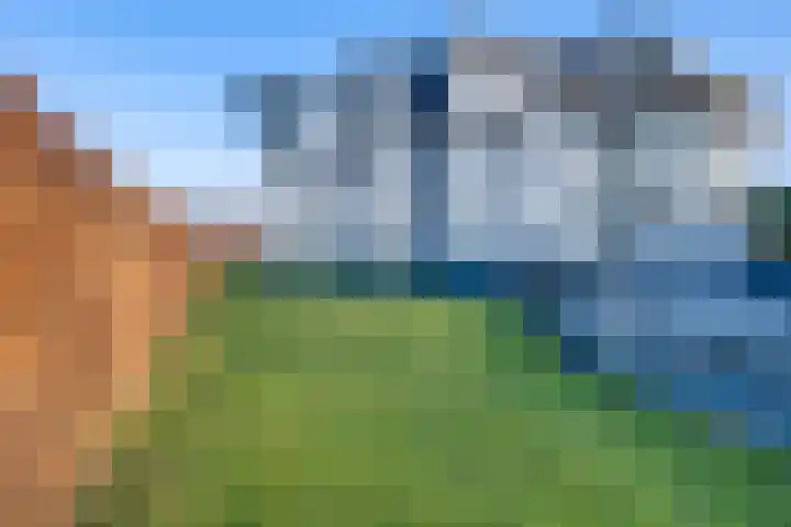 Pillinkpad 6 Lochem thumbnail 21