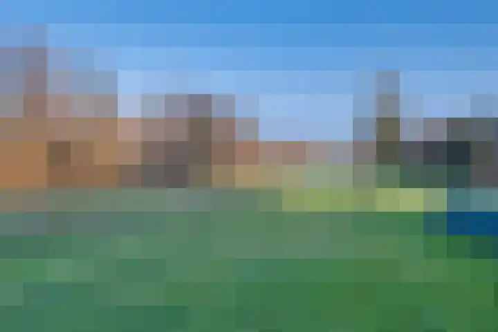 Pillinkpad 6 Lochem thumbnail 26
