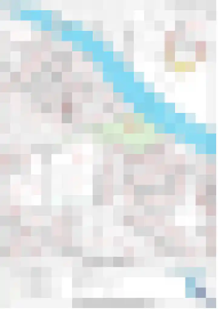 Pillinkpad 6 Lochem thumbnail 32