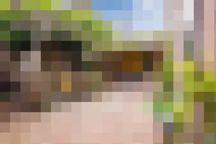 Pillinkstraat 6 Lochem thumbnail 17