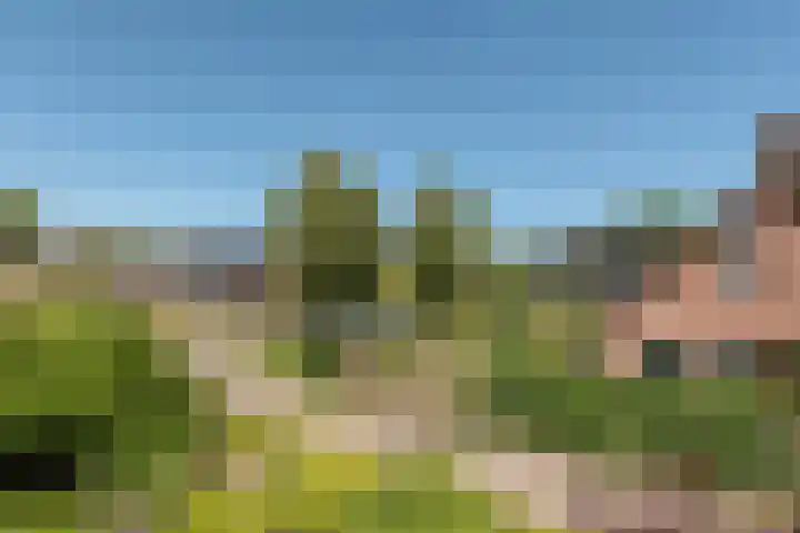 Pilotenlaan 9 Meppel thumbnail 29