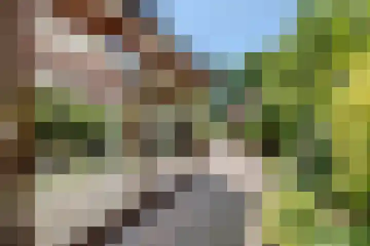 Pilotenlaan 9 Meppel thumbnail 41