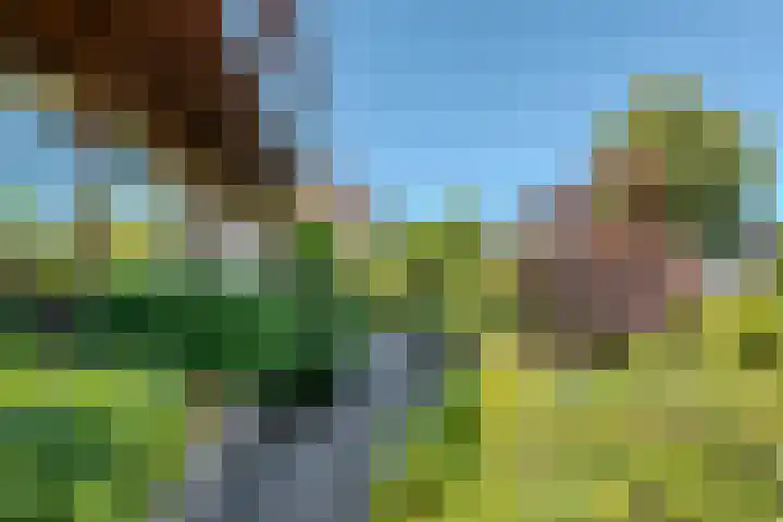Pilotenlaan 9 Meppel thumbnail 42