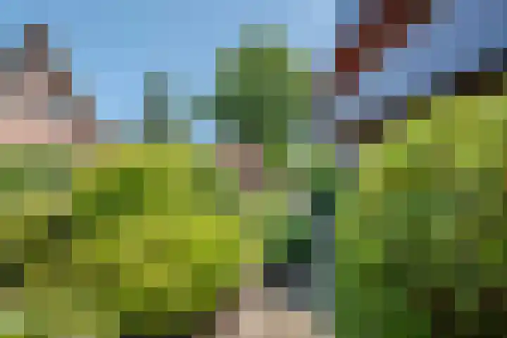 Pilotenlaan 9 Meppel thumbnail 43