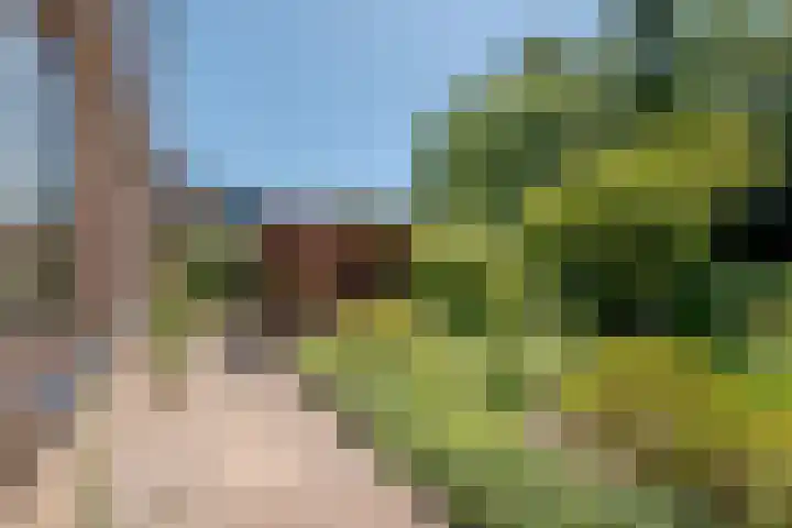 Pilotenlaan 9 Meppel thumbnail 44
