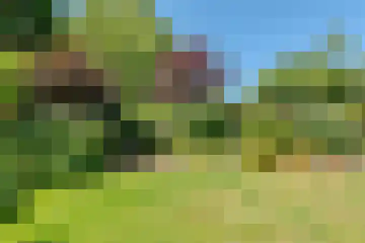 Pilotenlaan 9 Meppel thumbnail 47