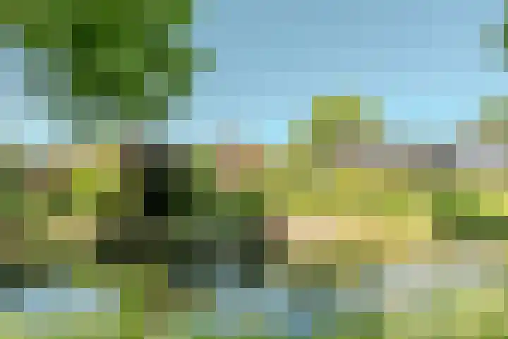 Pilotenlaan 9 Meppel thumbnail 52