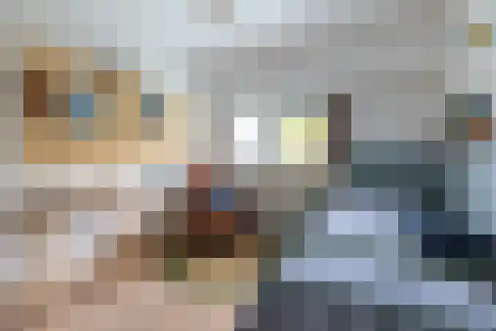 Team foto van PIM Wonen