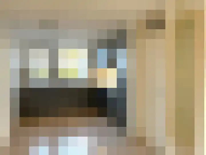 Pimpelmees 24 Emmen thumbnail 10