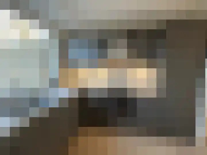 Pimpelmees 24 Emmen thumbnail 12