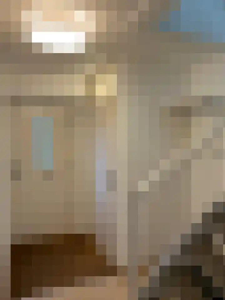 Pimpelmees 24 Emmen thumbnail 14