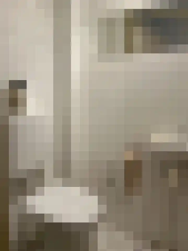 Pimpelmees 24 Emmen thumbnail 15
