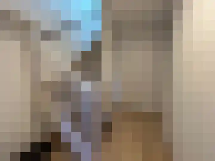 Pimpelmees 24 Emmen thumbnail 16