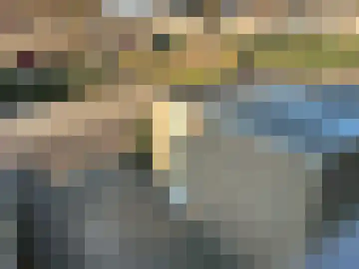 Pimpelmees 24 Emmen thumbnail 21