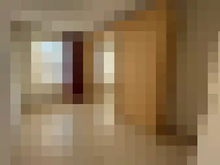 Pimpelmees 24 Emmen thumbnail 22