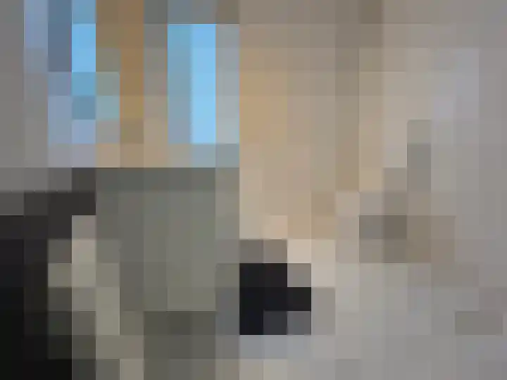 Pimpelmees 24 Emmen thumbnail 24