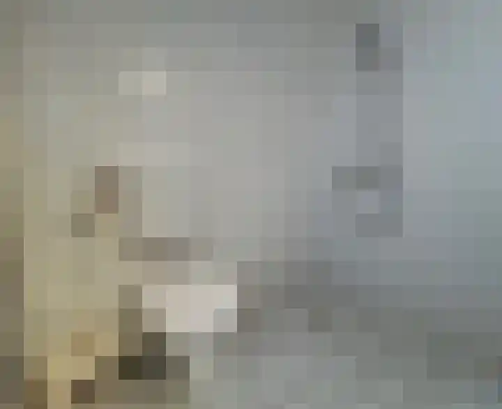 Pimpelmees 24 Emmen thumbnail 27