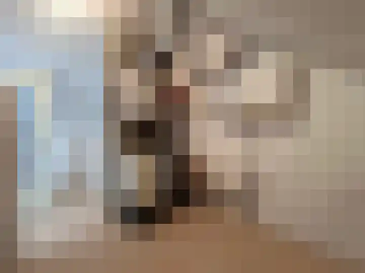 Pimpelmees 24 Emmen thumbnail 28