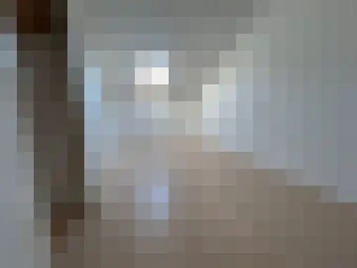 Pimpelmees 24 Emmen thumbnail 31