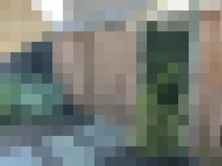 Pimpelmees 24 Emmen thumbnail 34