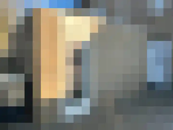 Pimpelmees 24 Emmen thumbnail 37