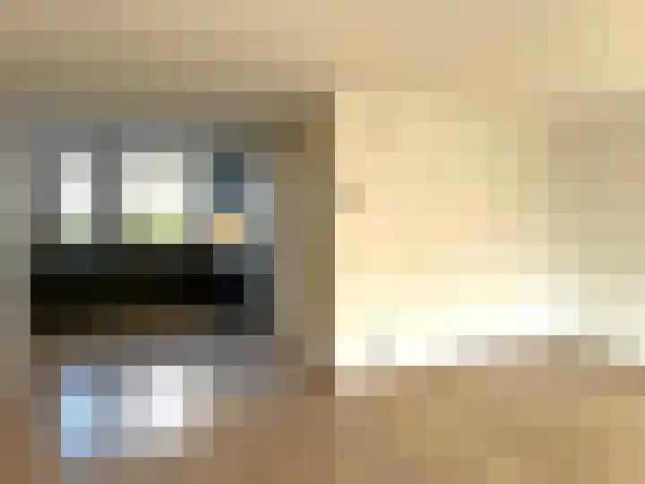 Pimpelmees 24 Emmen thumbnail 4