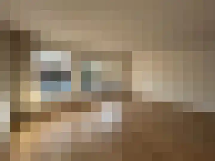 Pimpelmees 24 Emmen thumbnail 6
