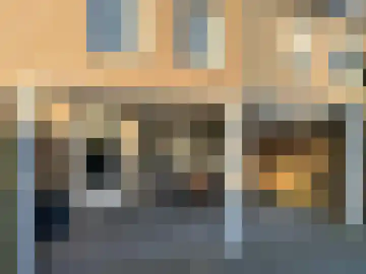 Pimpelmees 24 Emmen thumbnail 8