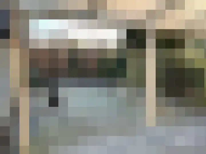 Pimpelmees 24 Emmen thumbnail 9