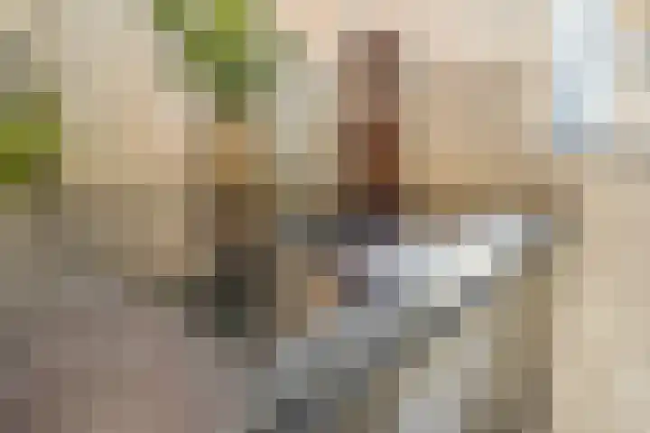Pinaskade 50 Zoetermeer thumbnail 16