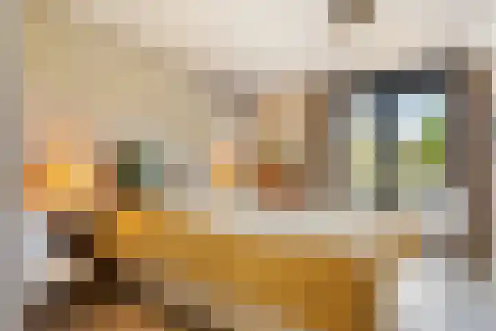 Pinaskade 50 Zoetermeer thumbnail 18