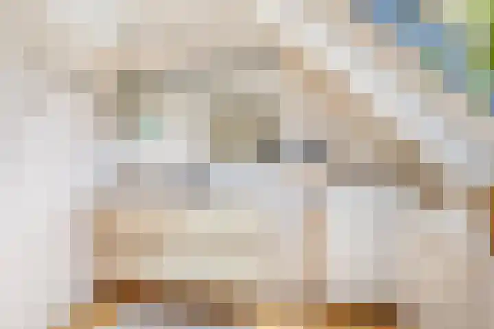 Pinaskade 50 Zoetermeer thumbnail 29