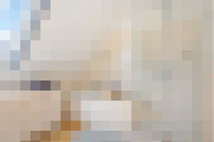 Pinaskade 50 Zoetermeer thumbnail 30