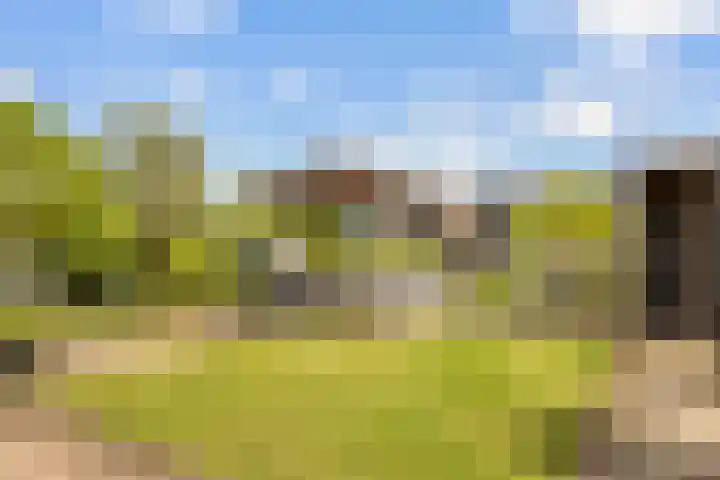 Pinaskade 50 Zoetermeer thumbnail 35