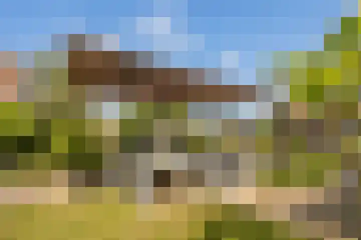 Pinaskade 50 Zoetermeer thumbnail 36