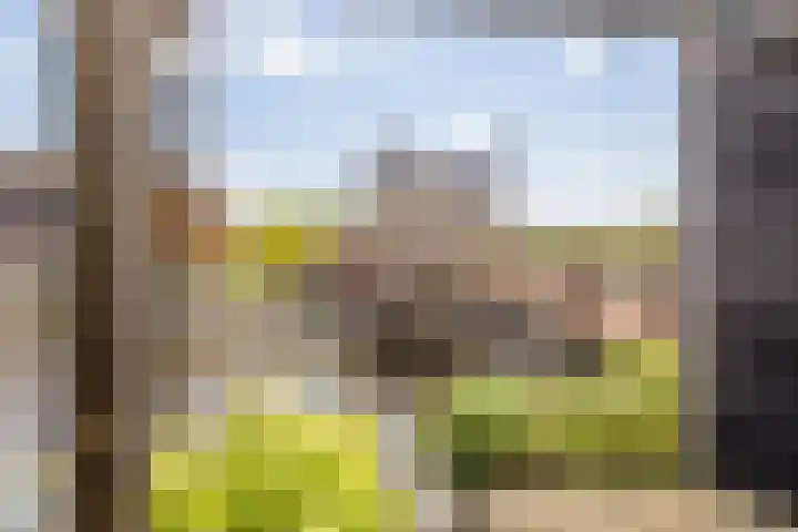 Pinaskade 50 Zoetermeer thumbnail 38