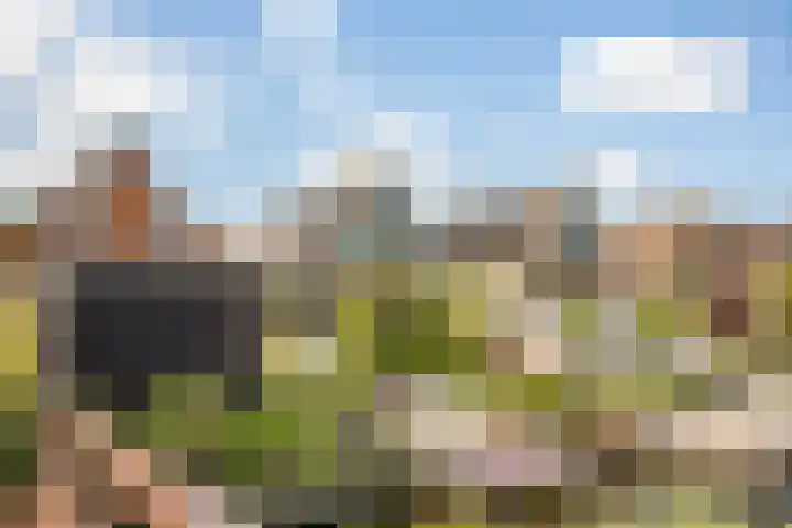 Pinaskade 50 Zoetermeer thumbnail 47