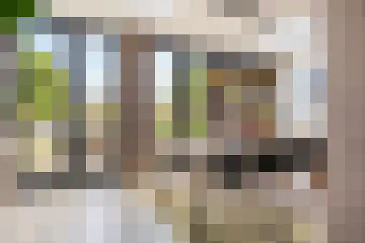 Pinaskade 50 Zoetermeer thumbnail 6