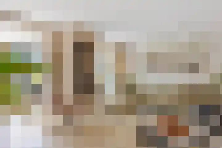 Pinaskade 50 Zoetermeer thumbnail 8