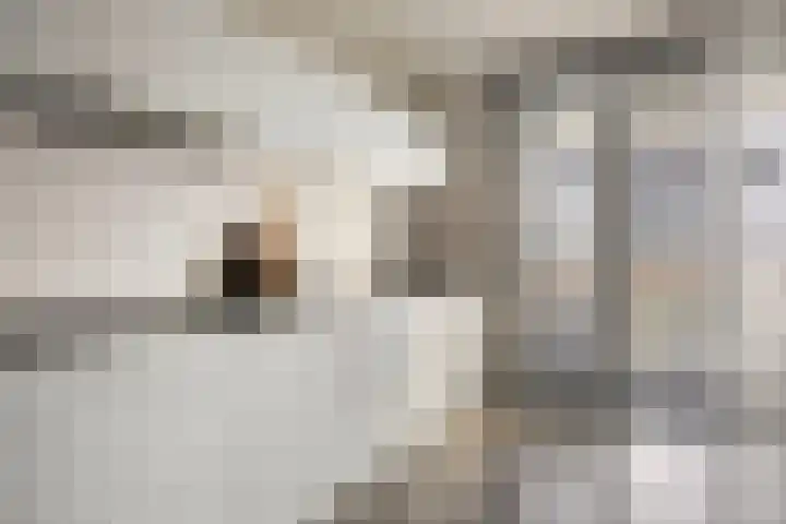 Pindosstraat 5 Tilburg thumbnail 12