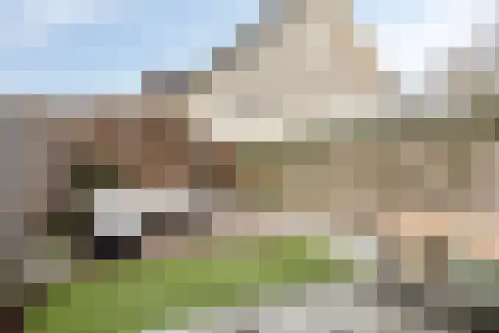 Pindosstraat 5 Tilburg thumbnail 25