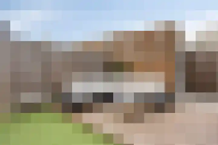 Pindosstraat 5 Tilburg thumbnail 26
