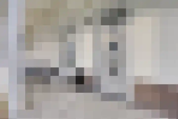 Pindosstraat 5 Tilburg thumbnail 4
