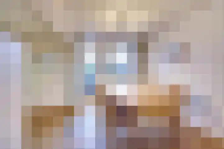 Pinglestraat 1 Dronten thumbnail 11