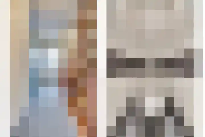 Pinglestraat 1 Dronten thumbnail 19