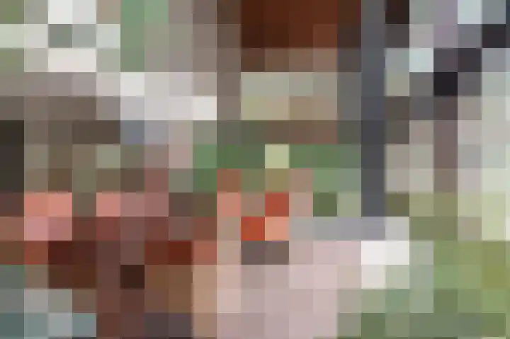 Pinglestraat 1 Dronten foto 2